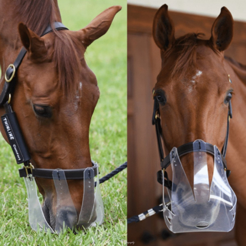 Flexibel weidekap voor paard ThinLine ThinLine