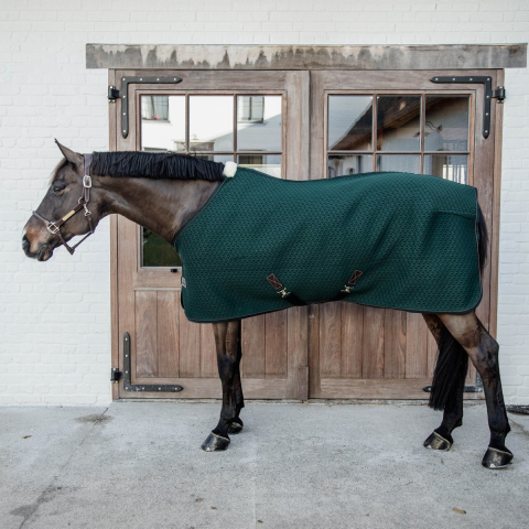 Drooghemd voor paarden Kentucky 4D Spacer