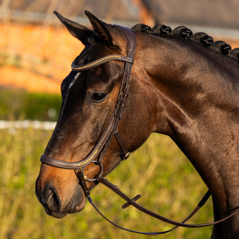 Anatomisch ruiterbit Harry's Horse