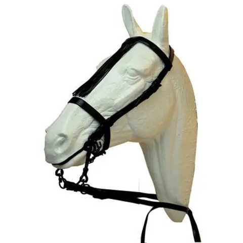 Lichelle voor klassieke westernpaard Hispano Hipica