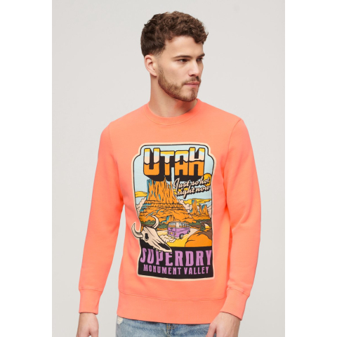 Loszittend fluorescerend sweatshirt Superdry Travel