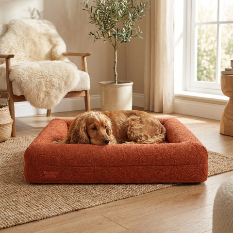 Buddy Beds - Bouclé Hoes - Afneembaar & Wasbaar - Terracotta L