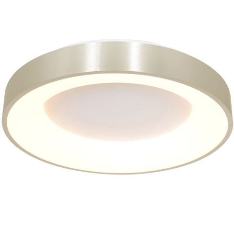 Plafondlamp | 48 cm | Ringlede | ingebouwde vervangbare LED module | grijs zilver | kunststof metaal