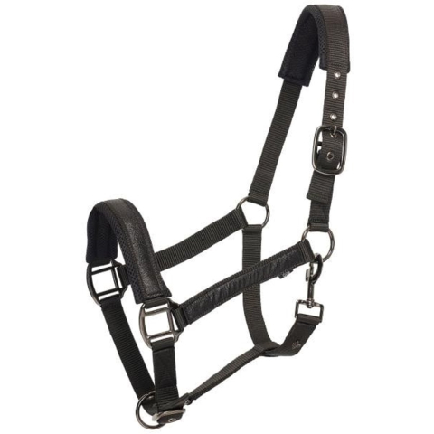 Halster voor paarden HV Polo Katy