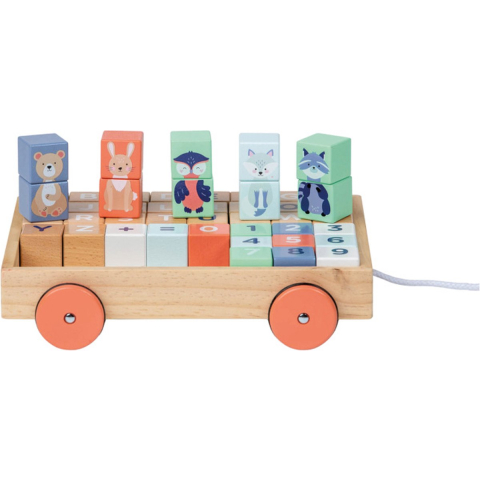 Moover Kleine wagen met blokken
