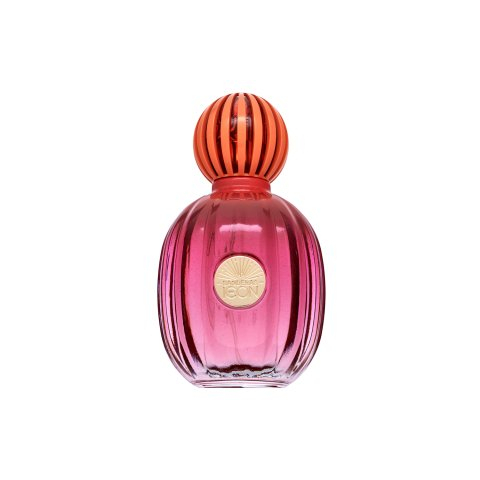 Antonio Banderas The Icon Splendid Eau de Parfum voor vrouwen 100 ml