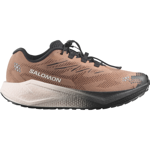 Salomon Aero Blaze 4 GRVL Hardloopschoen, 44, Bruin