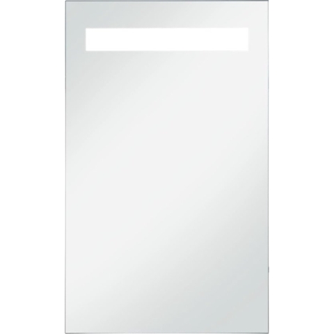 vidaXL-Badkamerspiegel-LED-60x100-cm