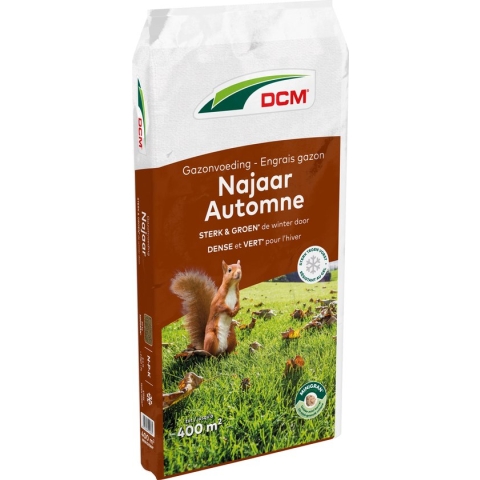 DCM GAZON NAJAAR 20KG