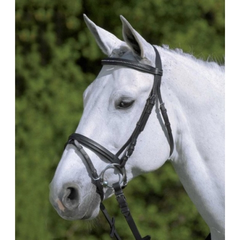 Star Hoofdstel Star Zwart - Rijbenodigdheden - Pony