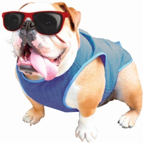 Nobby Cool Ice Vest - Maat M (28cm)