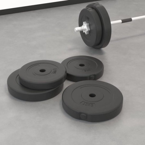 vidaXL-Halterschijven-4-st-20-kg