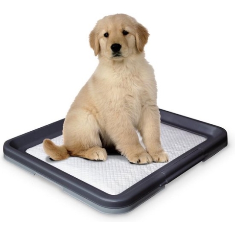 Nobby trainingsmat donker- en lichtgrijs 62,5 x 48 x 3,8 cm - 1 ST