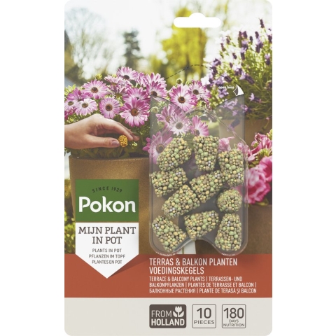 Pokon Voedingskegels voor Terras- & Balkonplanten - 10 stuks - 180 dagen voeding - Plantenvoeding