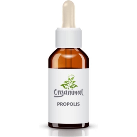 Organimal Propolis - Honden & Katten - o.a. voor ondersteuning luchtwegen en afweersysteem en allergieën