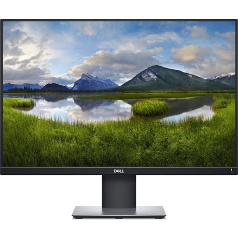 Dell P2421 - WUXGA Monitor - 24 inch