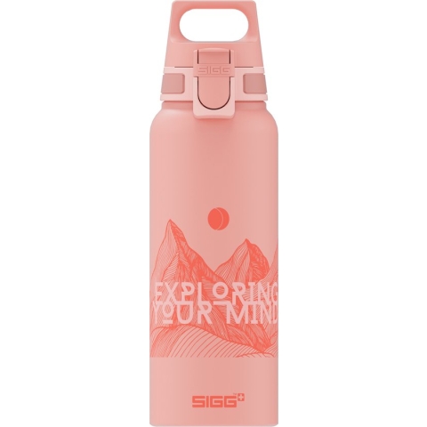 SIGG WMB Pathfinder 1.0L zachtroze
