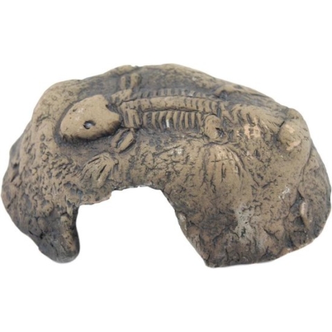 Ceramicnature Terrarium Fossil 12 X 11 Cm Keramiek Bruin