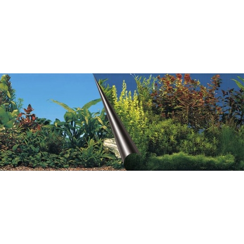 Ebi Foto Achterwand Beauty & Sea 40cm