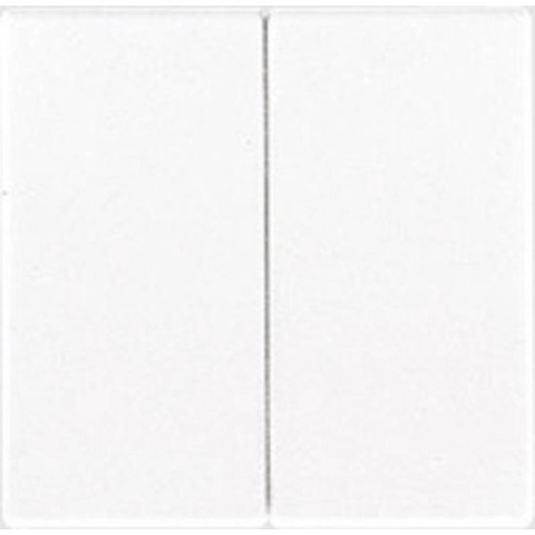 Jung LS990 Bedieningselement/Centrale Plaat LS995 - E2U66