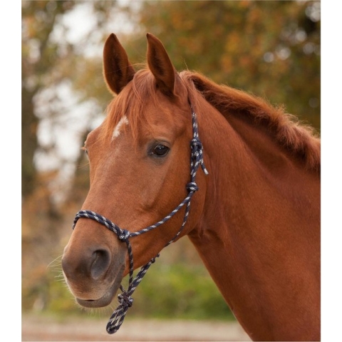 Waldhausen Knoophalster - Zwart/Wit - Paardenhalster - Cob