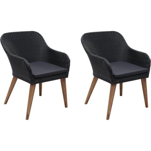 vidaXL-Tuinstoelen-2-st-met-kussens-poly-rattan-zwart