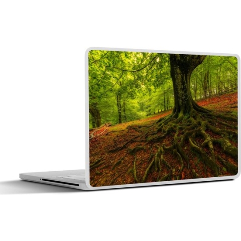 Laptop sticker - 15.6 inch - Boom - Bos - Herfstbladeren - 36x27,5cm - Laptopstickers - Laptop skin - Cover