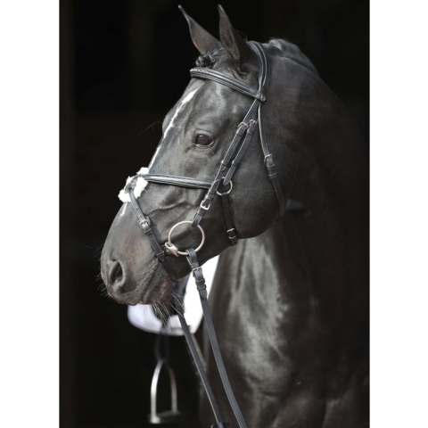 Covalliero Hoofdstel Cancun Pony zwart