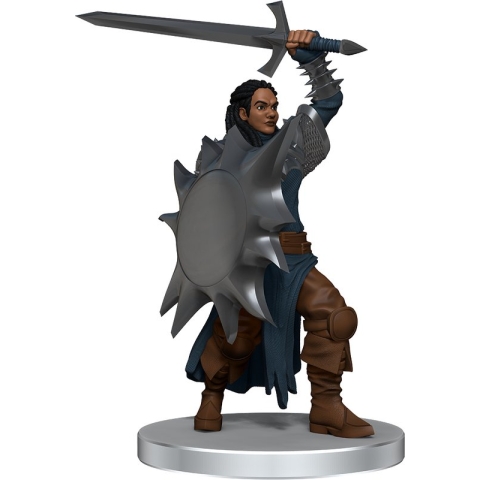 D&D Icons of the Realms Dragon Army Warband
