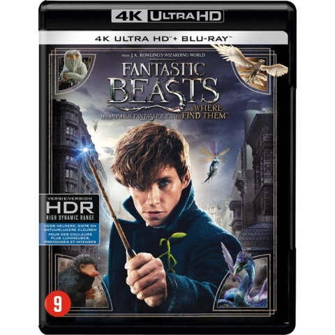 Fantastic Beasts and Where to Find Them (4K Ultra HD Blu-ray)