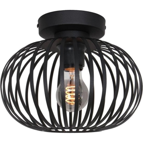 Freelight Aglio plafondlamp - met metalen spijlen - kap Ø25 cm - excl. E27 lichtbron - zwart