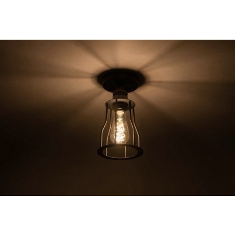 Lumidora Plafondlamp 73493 - E27 - Zwart - Messing - Metaal - ⌀ 15 cm