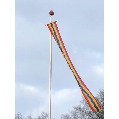 Wimpel Overijssel 25x300cm met stokje