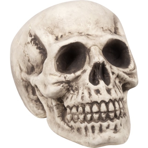 Boland - Schedel Bighead - Horror - Horror