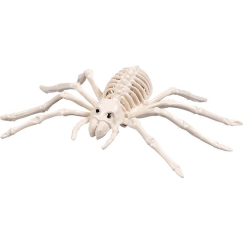 Boland - Spinnenskelet (23 x 16 x 6 cm) - Horror - Horror