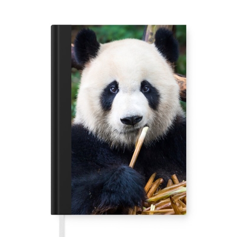 Notitieboek - Schrijfboek - Panda - Bamboe - Natuur - Notitieboekje - A5 formaat - Schrijfblok