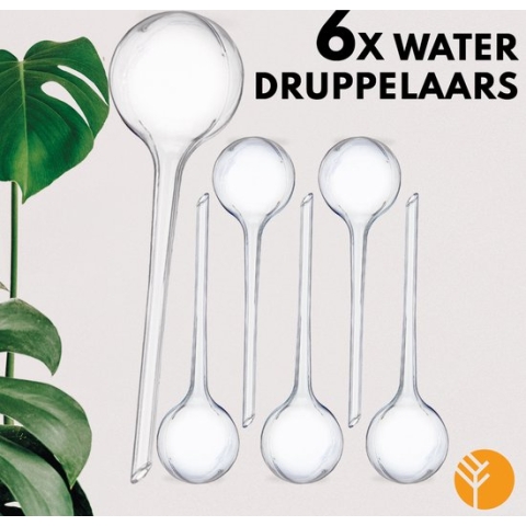 Groots Waterdruppelaar Transparant Set van 6 - Planten waterdruppelaar