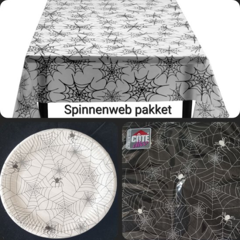 Versiering Halloween, Spinnenweb, Verjaardag, Themafeest.