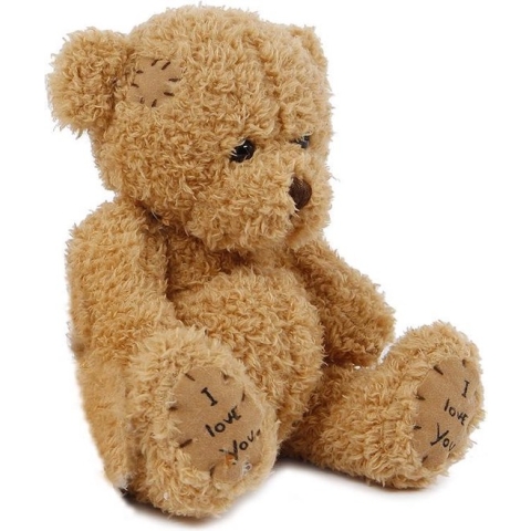 Take Me Home Knuffelbeer Pluche 14 Cm Junior Lichtbruin