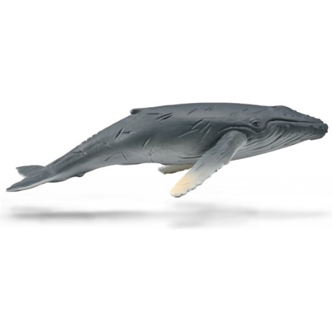 Collecta Zeedieren (M): BULTRUG WALVISKALF 10,5x3,5cm