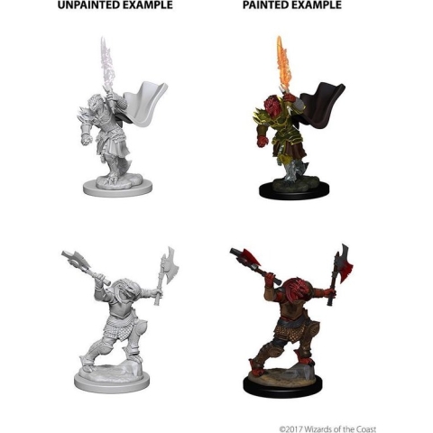 D&D Nolzur's Marvelous Miniatures: Dragonborn Fighter