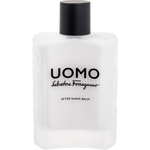 Salvator Ferragamo - Uomo - 100ML
