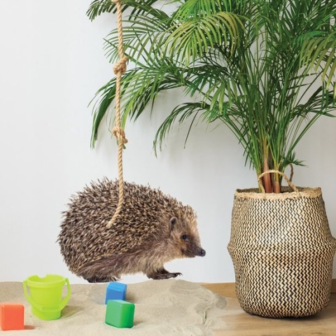 Muursticker Egel 20cm breed 15cm hoog - Dieren kinderkamer - KEKKE Egel muursticker