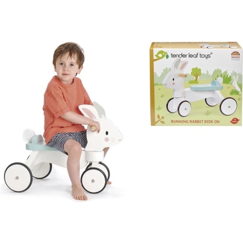 Tender Leaf Toys Loopfiets - Loopfiets