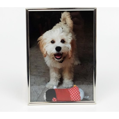 AL - Fotolijst - Zilver - Bol - 9 x 13 cm