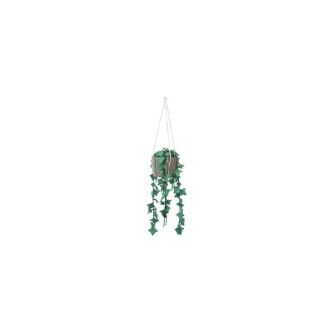 KidsDepot Hangplant Hedera Felix Vilt