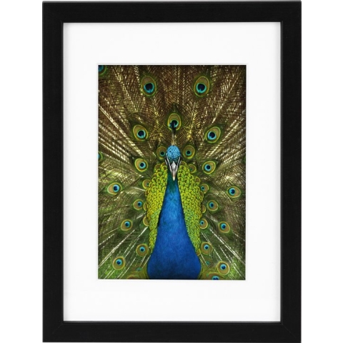 Goldbuch - Fotolijst Pino - Hout