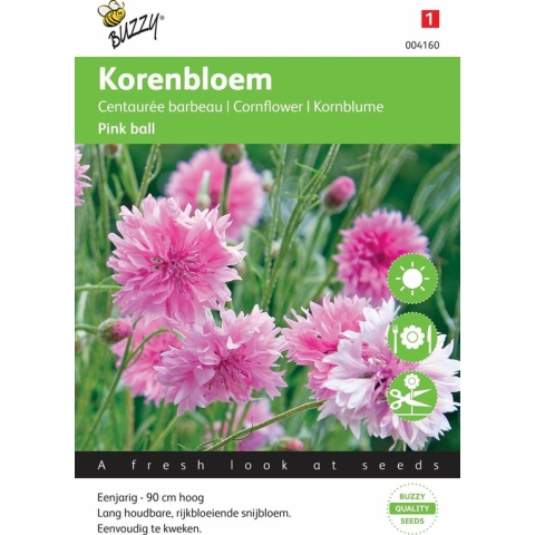 Buzzy® Centaurea cyanus Pink Ball - Korenbloem