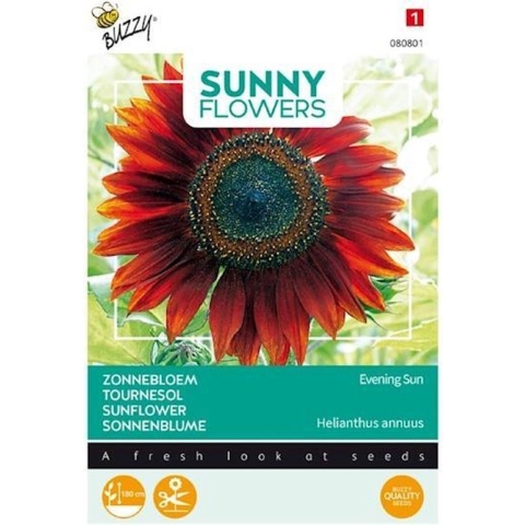 Buzzy® Sunny Flowers, Zonnebloem Avondzon