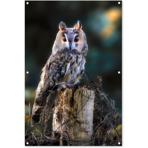Tuinposter - Tuindoek - Tuinposters buiten - Uil - Herfst - Vogel - Takken - 80x120 cm - Tuin